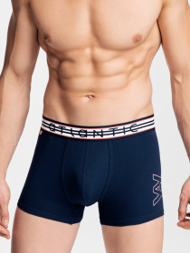 Набір трусів Atlantic модель 3MH-013 GRA/SZM/GRA Фото