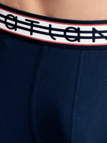 Набір трусів Atlantic модель 3MH-013 GRA/SZM/GRA Фото