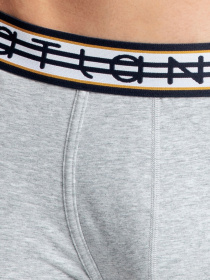 Набір трусів Atlantic модель 3MH-013 GRA/SZM/GRA Фото