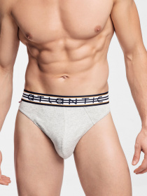 Набор трусов Atlantic модель 3MP-095 GRA/SZM/GRA Фото