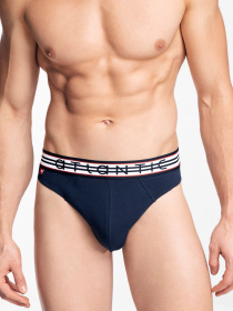 Набір трусів Atlantic модель 3MP-095 GRA/SZM/GRA Фото