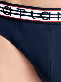 Набір трусів Atlantic модель 3MP-095 GRA/SZM/GRA Фото