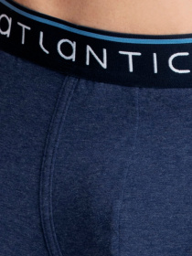 Набір трусів Atlantic модель 2MH-1185 GRM/NIM Фото