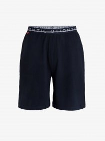 Шорты Atlantic модель NMB-041 GRA Фото