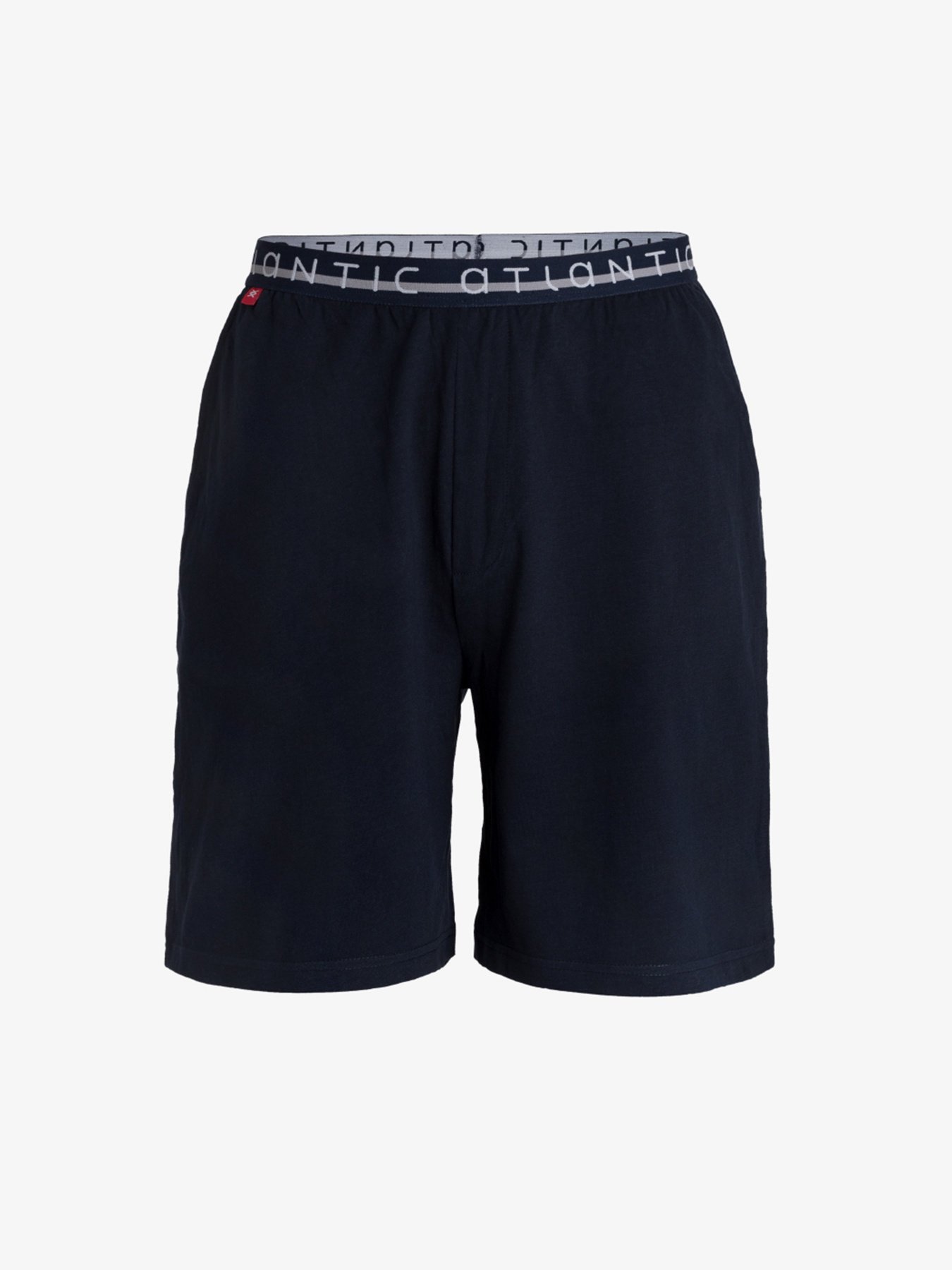 Повседневные шорты Atlantic модель NMB-041 GRA Фото