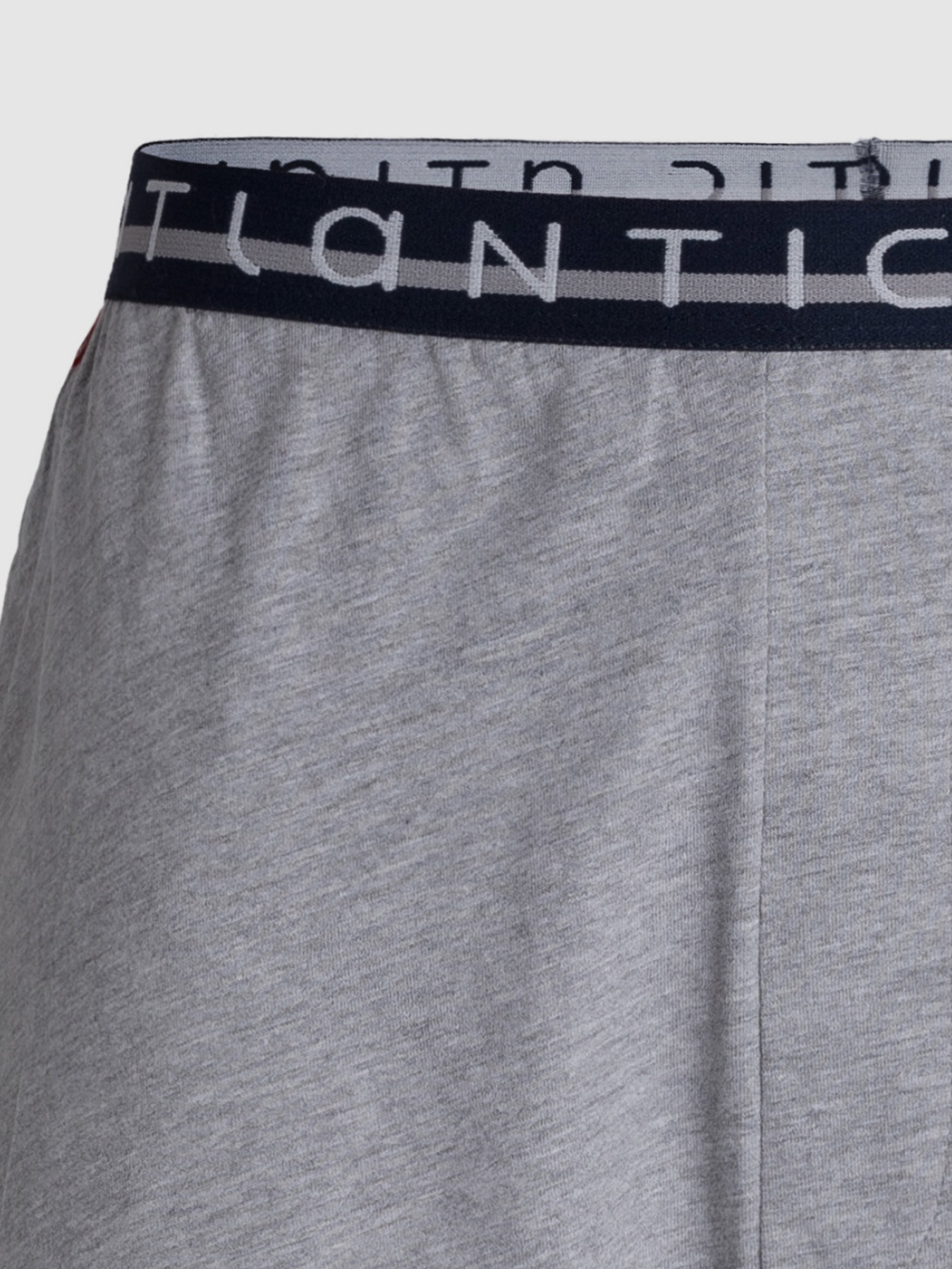 Шорти Atlantic модель NMB-041 SZM Фото