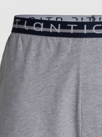 Повсякденні шорти Atlantic модель NMB-041 SZM Фото