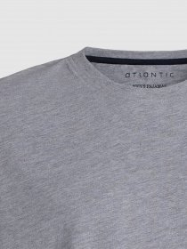 Піжама Atlantic модель NMP-343 SZM Фото