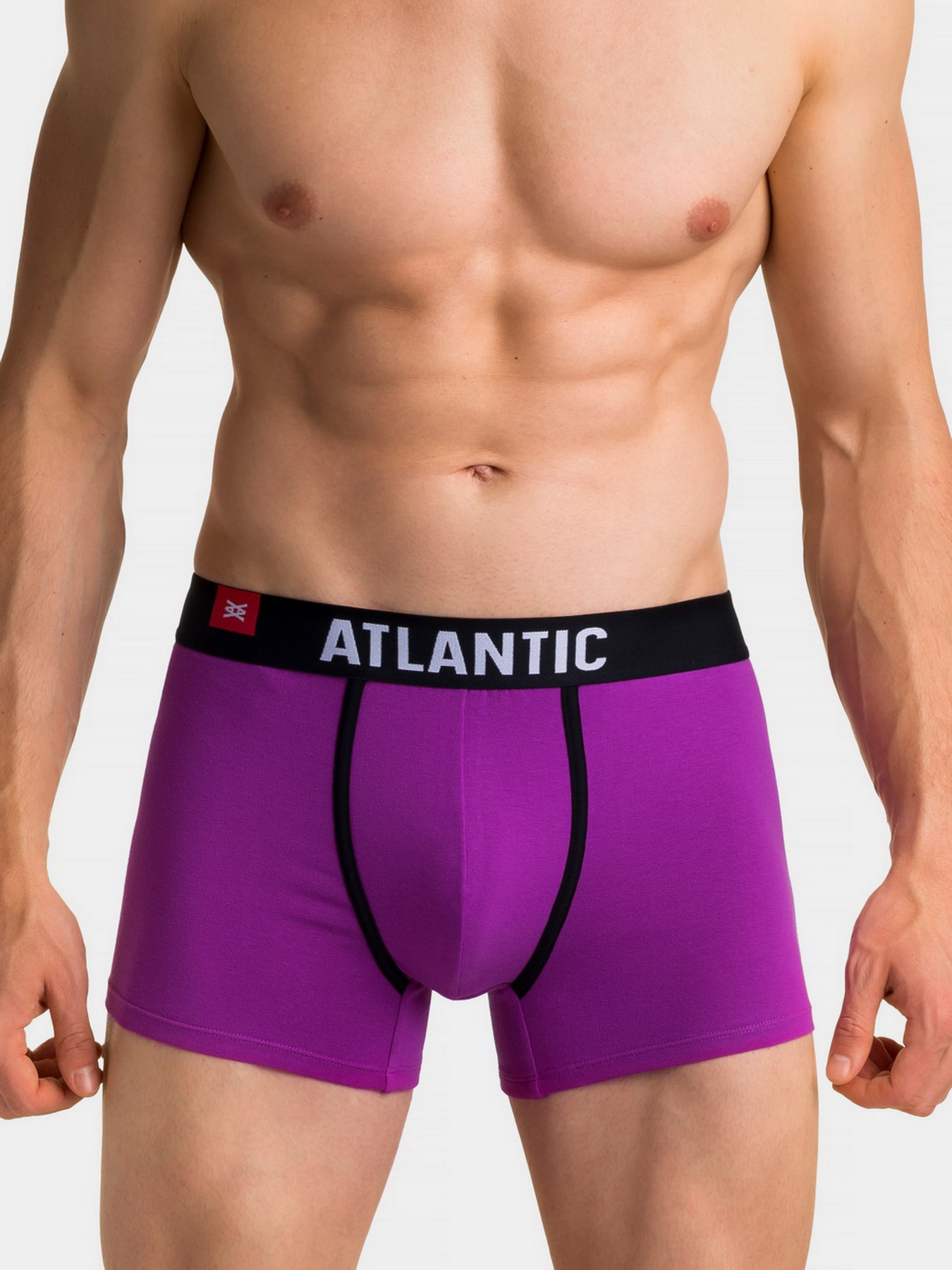 Набір трусів Atlantic модель 3SMH-002 ZOL/FIO/TUR Фото
