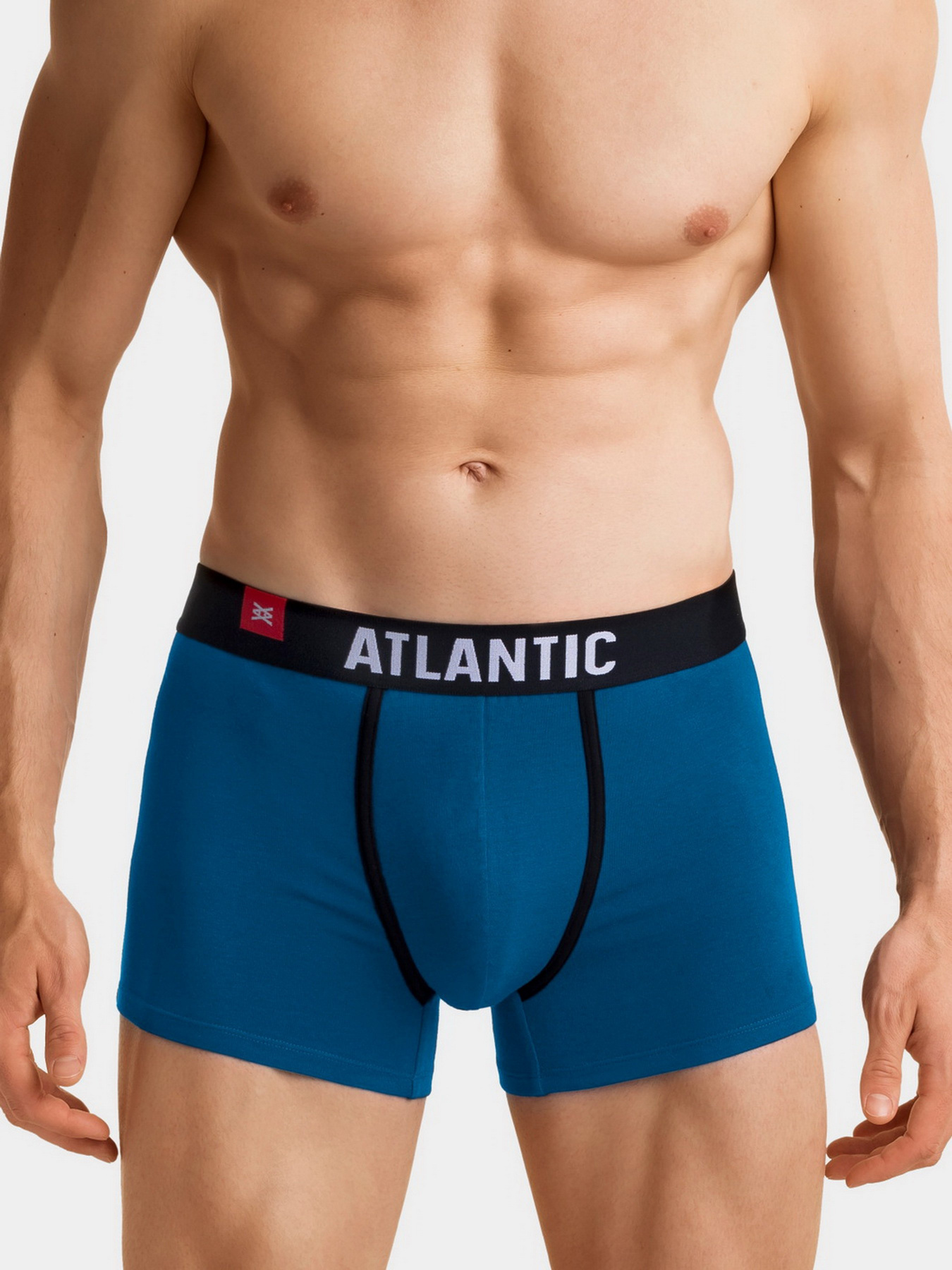 Набір трусів Atlantic модель 3SMH-002 ZOL/FIO/TUR Фото