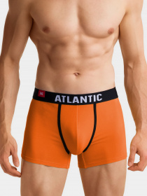 Набір трусів Atlantic модель 3SMH-002 ZOL/FIO/TUR Фото