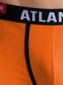 Набор трусов Atlantic модель 3SMH-002 ZOL/FIO/TUR Фото