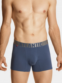 Набор трусов Atlantic модель 3SMH-049 GRA/DENJ/CZE Фото