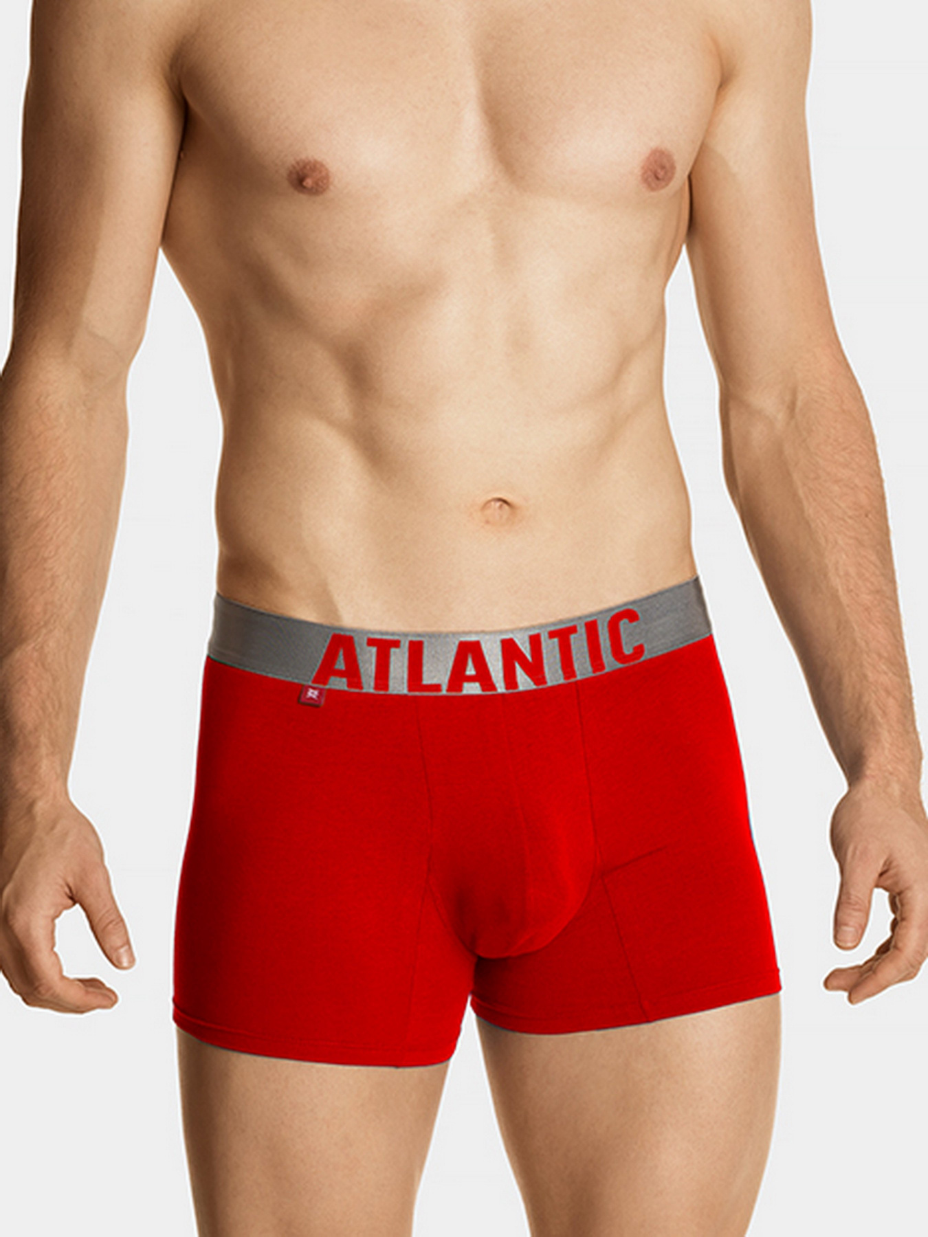 Набір трусів Atlantic модель 3SMH-049 GRA/DENJ/CZE Фото