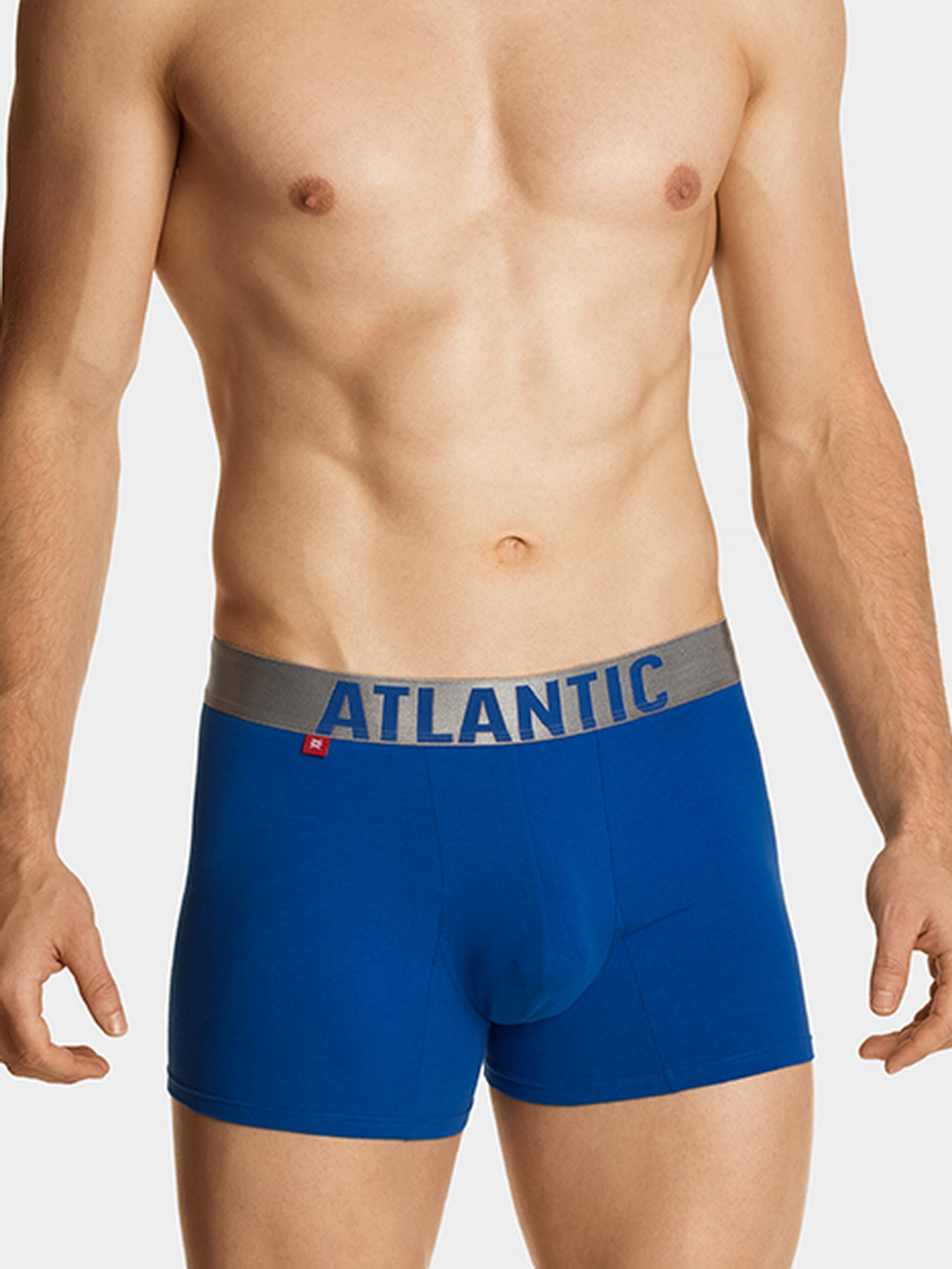 Набор трусов Atlantic модель 3SMH-049 NIE/FIO/CZA Фото
