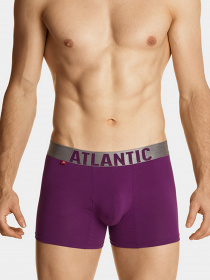 Набор трусов Atlantic модель 3SMH-049 NIE/FIO/CZA Фото