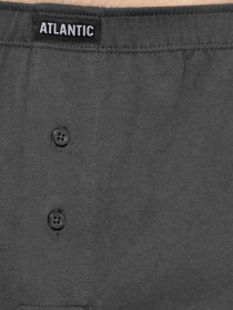 Набор трусов Atlantic модель 2BMB-003 GRF Фото