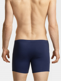 Набор трусов Atlantic модель 2MH-173_02 GRA/NIEC Фото