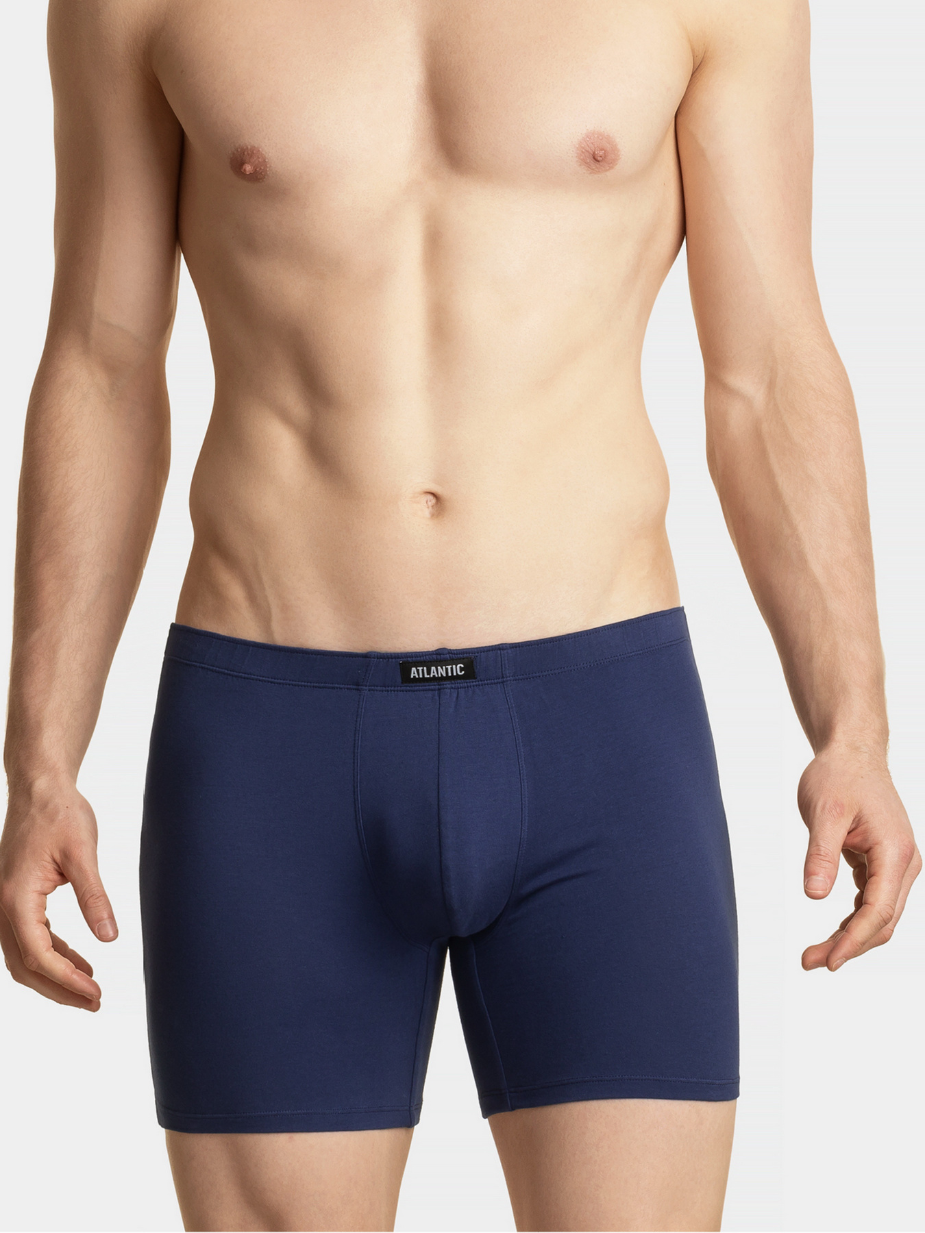 Набір трусів Atlantic модель 2MH-173_02 GRA/NIEC Фото