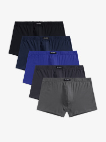 Набір трусів Atlantic модель 5SMH-002 GRF/FIO/CZA/KHAJ/GRAJ Фото