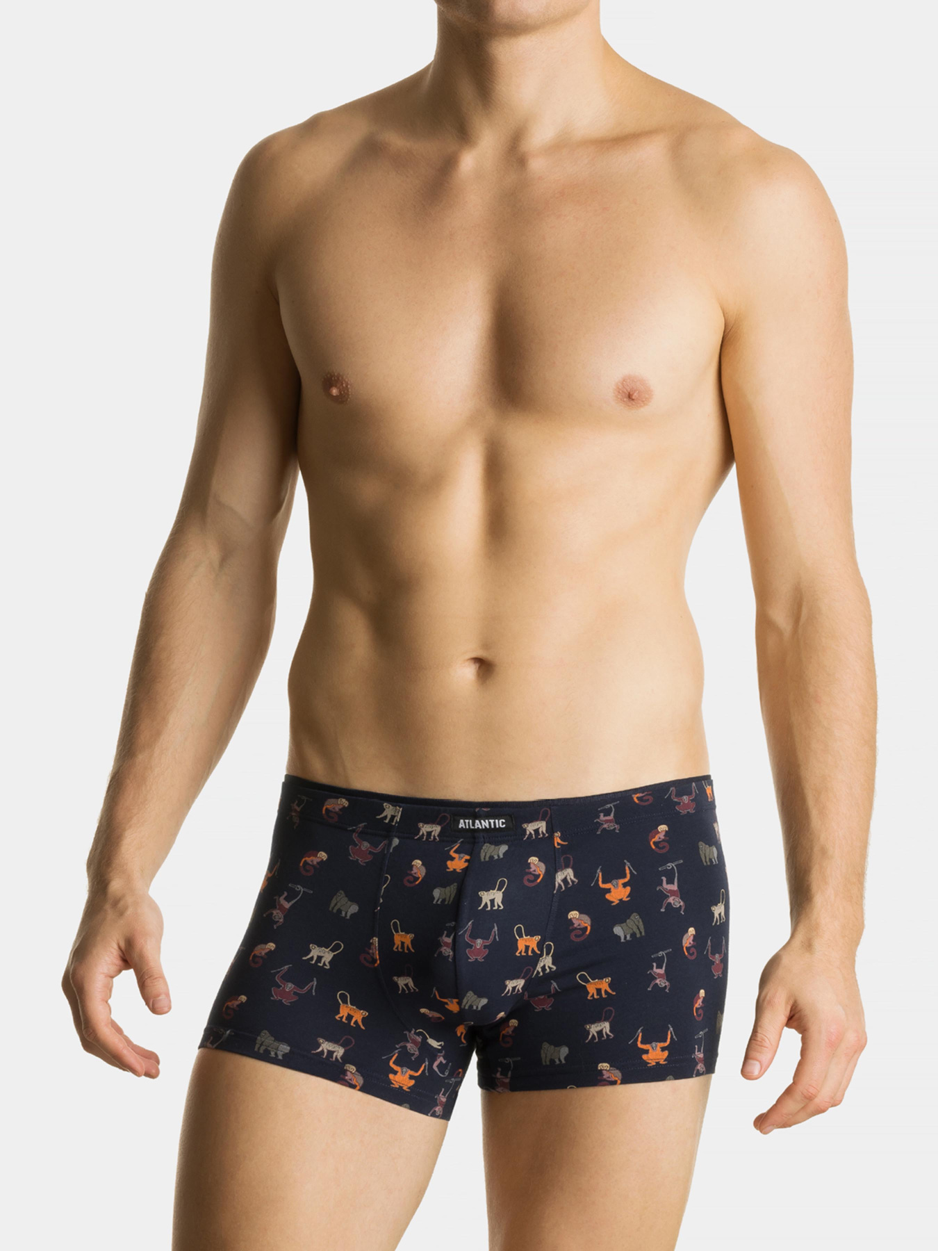 Набор трусов Atlantic модель 2MH-064 SZA/GRA Фото