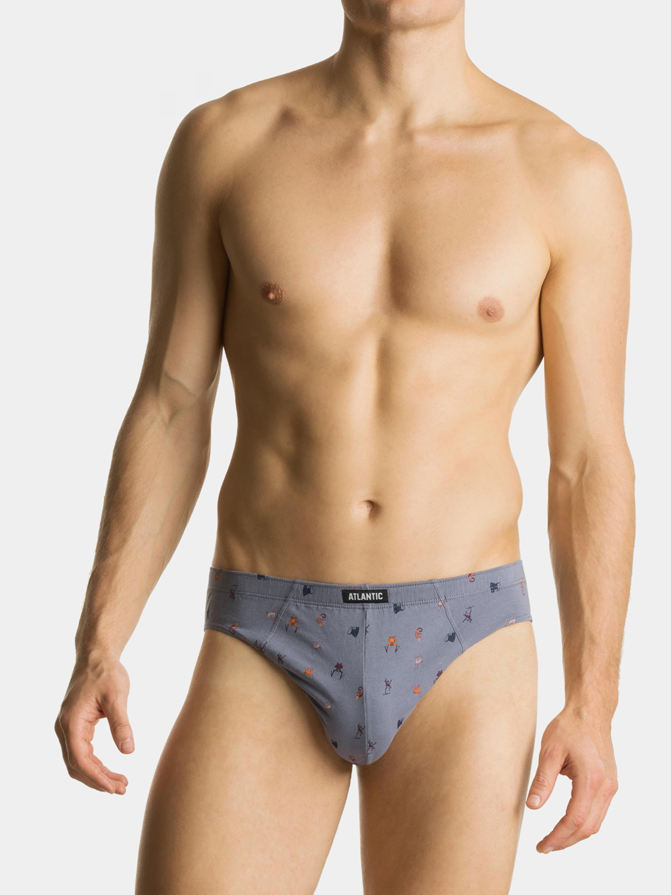 Набор трусов Atlantic модель 2MP-003 SZA/GRA Фото