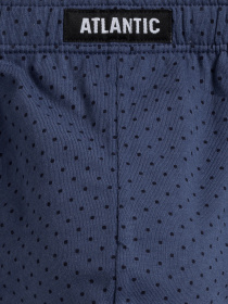 Набір трусів Atlantic модель 3MP-166 SZA/GRA/IND Фото