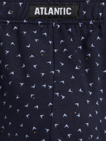 Набір трусів Atlantic модель 3MP-166 SZA/GRA/IND Фото