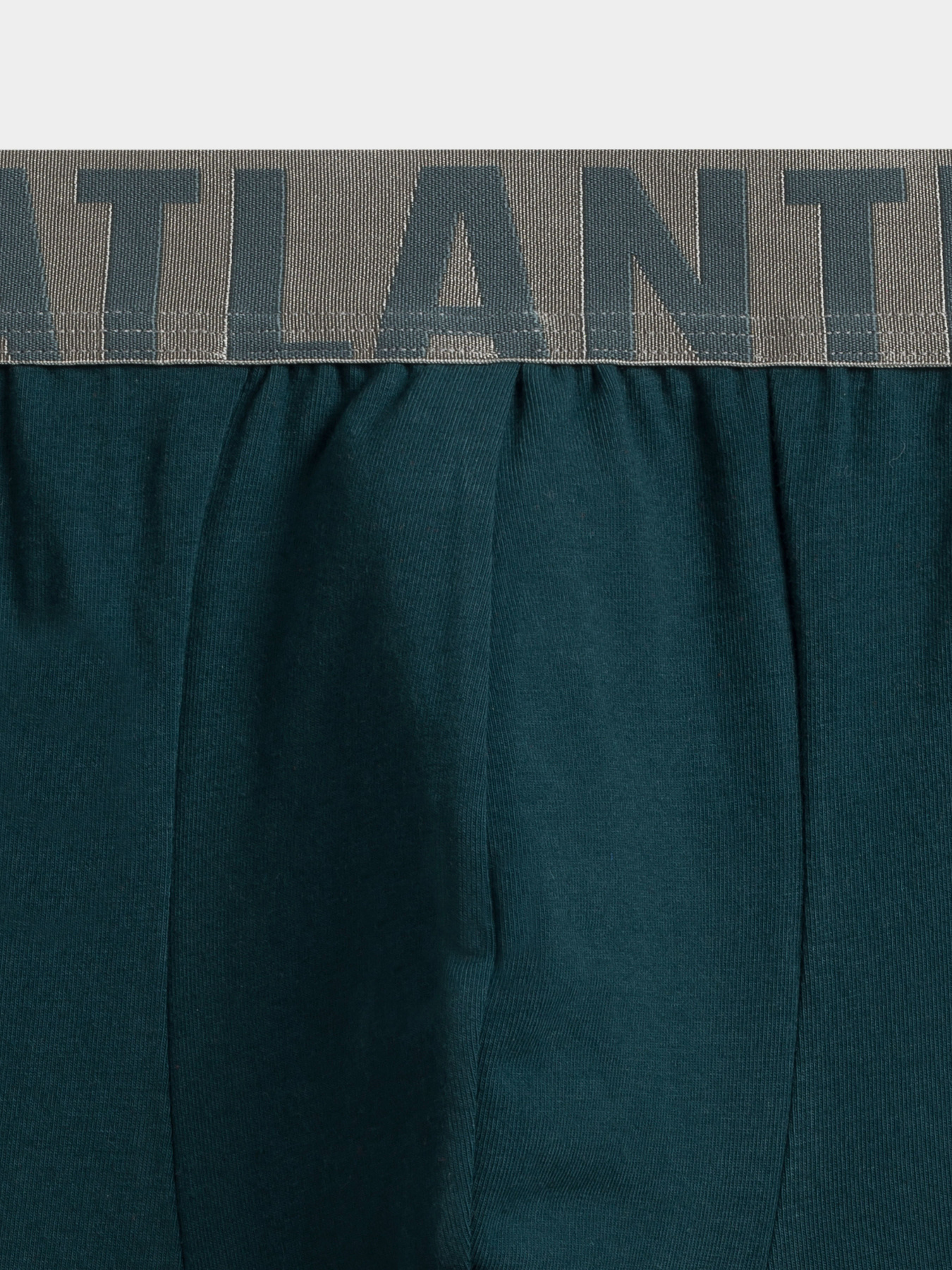 Трусы Atlantic модель MH-1196 ZIE Фото