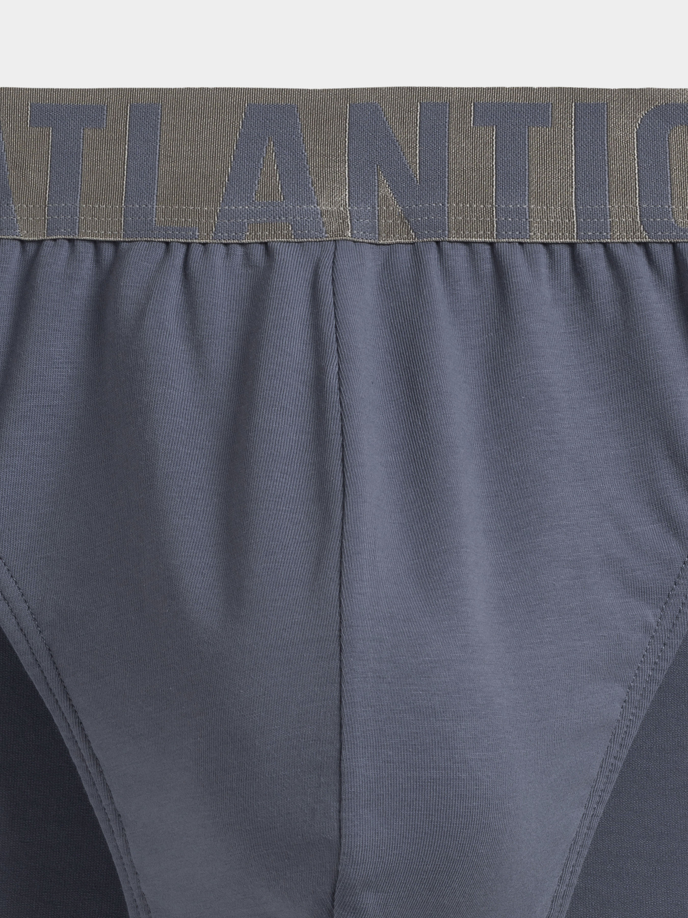 Трусы Atlantic модель MP-1574 SZA Фото