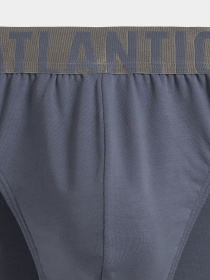 Трусы Atlantic модель MP-1574 SZA Трусы Atlantic модель MP-1574 SZA Фото