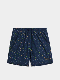 Шорти для плавання Atlantic модель KMB-221 GRA/S Фото