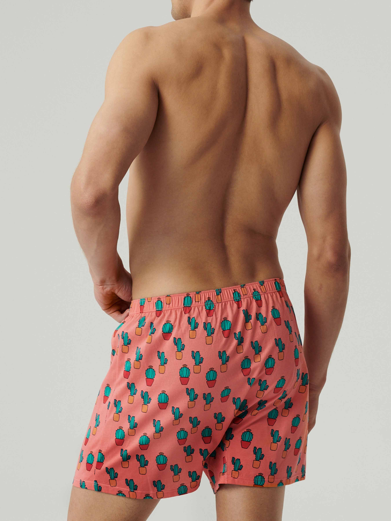 Трусы Atlantic модель 2MBH-005 GRA/KOR Фото