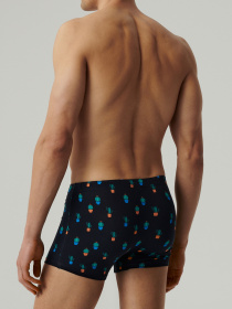 Набір трусів Atlantic модель 2MHH-005 GRA/KOR Фото