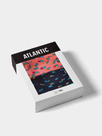 Трусы Atlantic модель 2MHH-005 GRA/KOR Трусы Atlantic модель 2MHH-005 GRA/KOR Фото