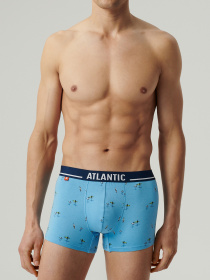 Набор трусов Atlantic модель 3MH-213 NIEJ/NIE/NIEC Фото