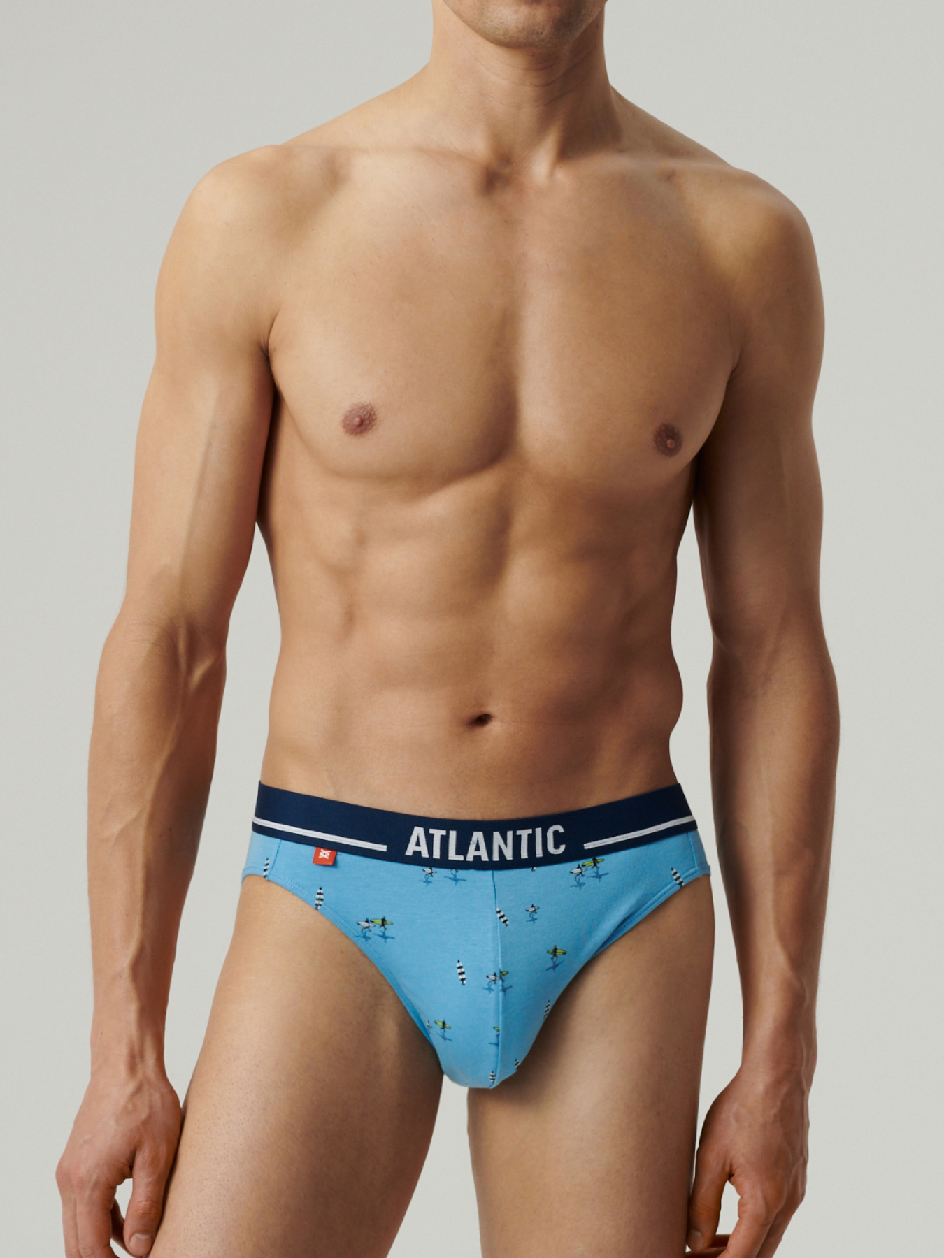 Трусы Atlantic модель 3MP-196 NIEJ/NIE/NIEC Трусы Atlantic модель 3MP-196 NIEJ/NIE/NIEC Фото