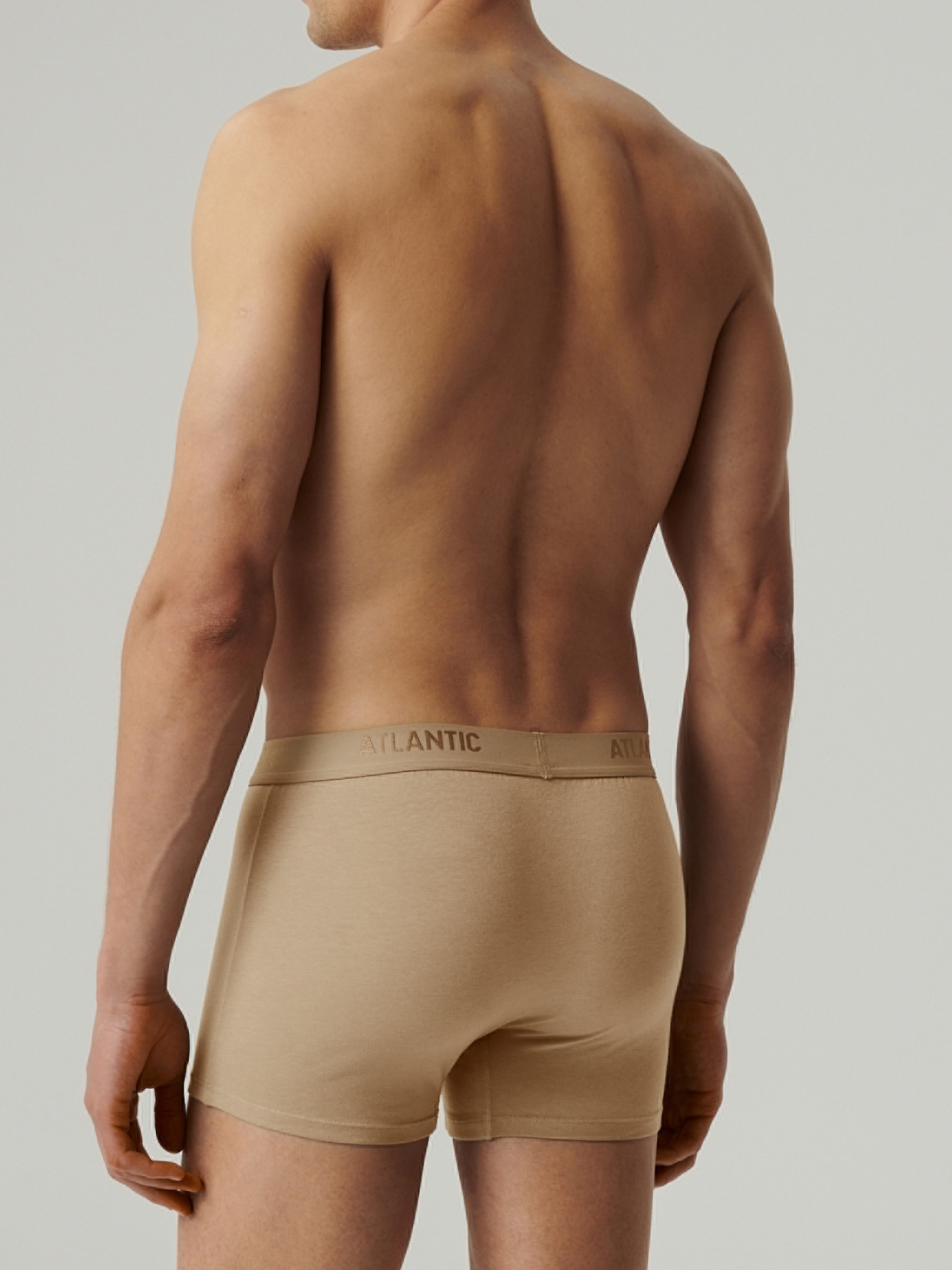 Трусы Atlantic модель MH-1199 BEZ/S Фото