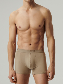 Трусы Atlantic модель MH-1199 BEZ/S Фото