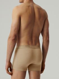 Трусы Atlantic модель MH-1199 BEZ/S Фото