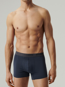 Трусы Atlantic модель MH-1199 GRF/S Фото