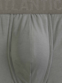 Трусы Atlantic модель MH-1201 KHA/S Трусы Atlantic модель MH-1201 KHA/S Фото