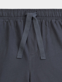 Пижама Atlantic модель NMP-379 NIE_GRF Фото