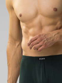 Набор трусов Atlantic модель 5SMH-002 GRF/SZA/CZA/SZG/KAW Фото