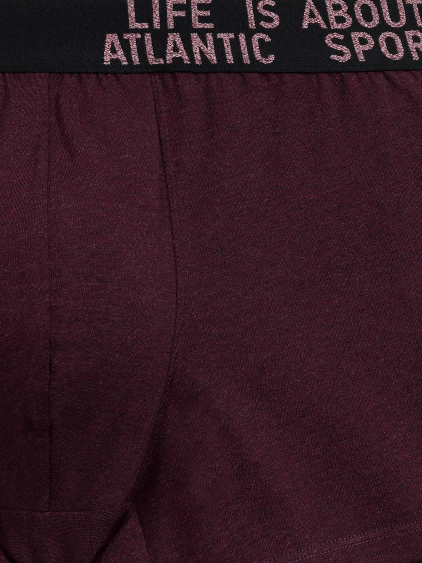 Набор трусов Atlantic модель 3MH-226 ZIM/WIM/NIM Фото