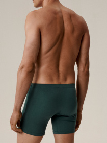 Трусы Atlantic модель 2MH-173 ZIEC/GRA Фото