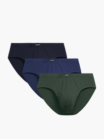 Набор трусов Atlantic модель 3MP-129 KHA/GRA/NIEC Фото