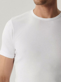 Футболки і поло Atlantic модель 2BMV-048 BIA Фото