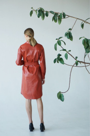 Платья VOVK модель 09793 теракотовий Платья VOVK модель 09793 теракотовий Фото