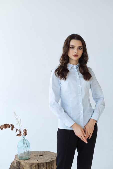 Блуза з довгим рукаом VOVK модель 07794 небесний Фото